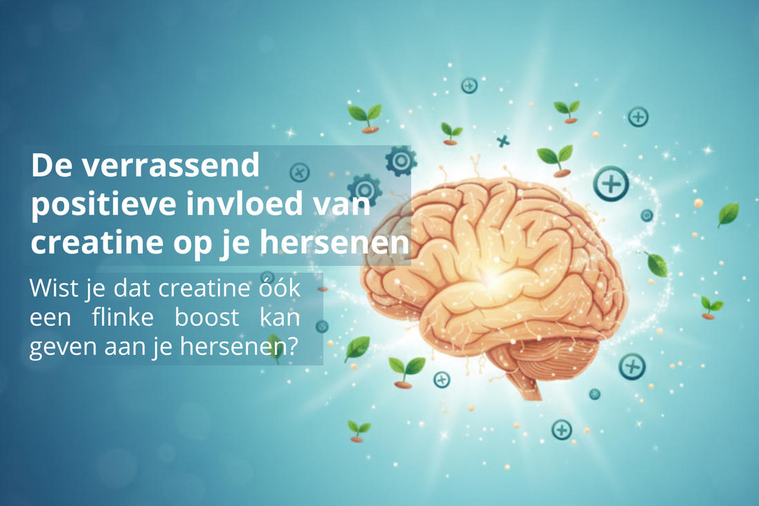 De verrassend positieve invloed van creatine op je hersenen